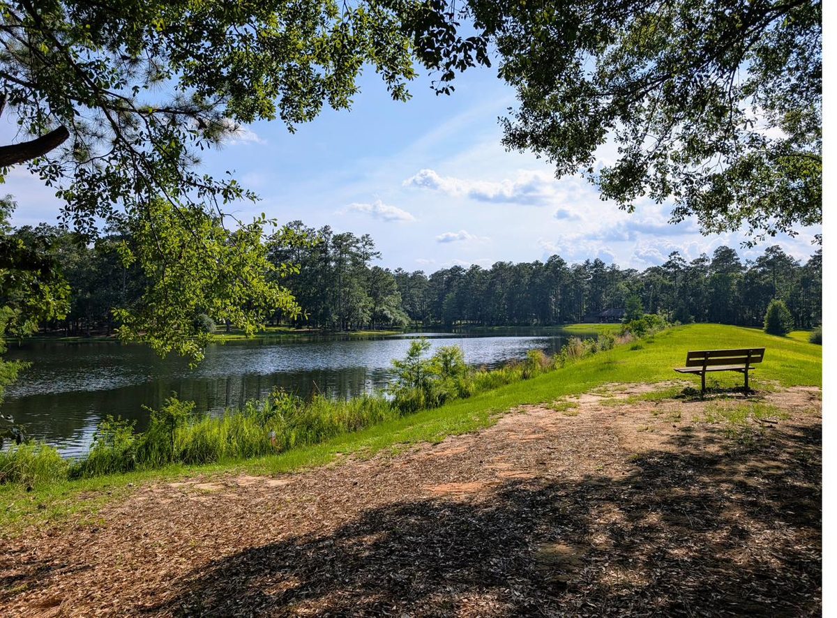 The 12-acre lake at the Solomon Center with a sitting bench on the bank under the oak trees